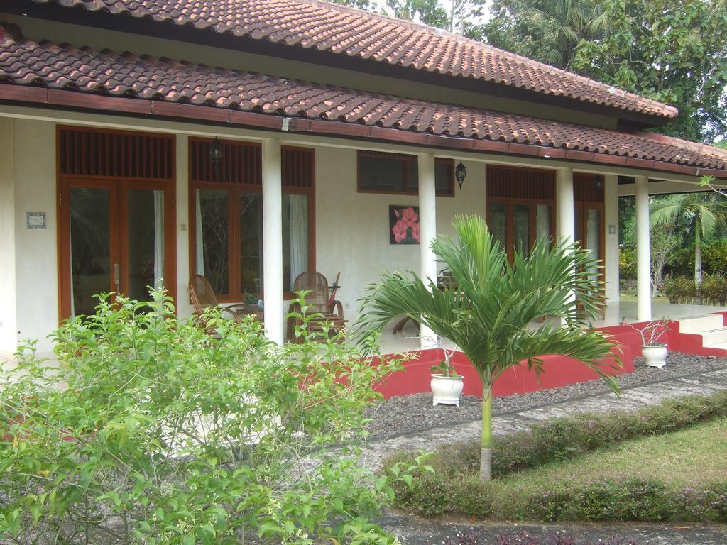 Guesthouse Rumah Senang Kalibaru Exterior photo