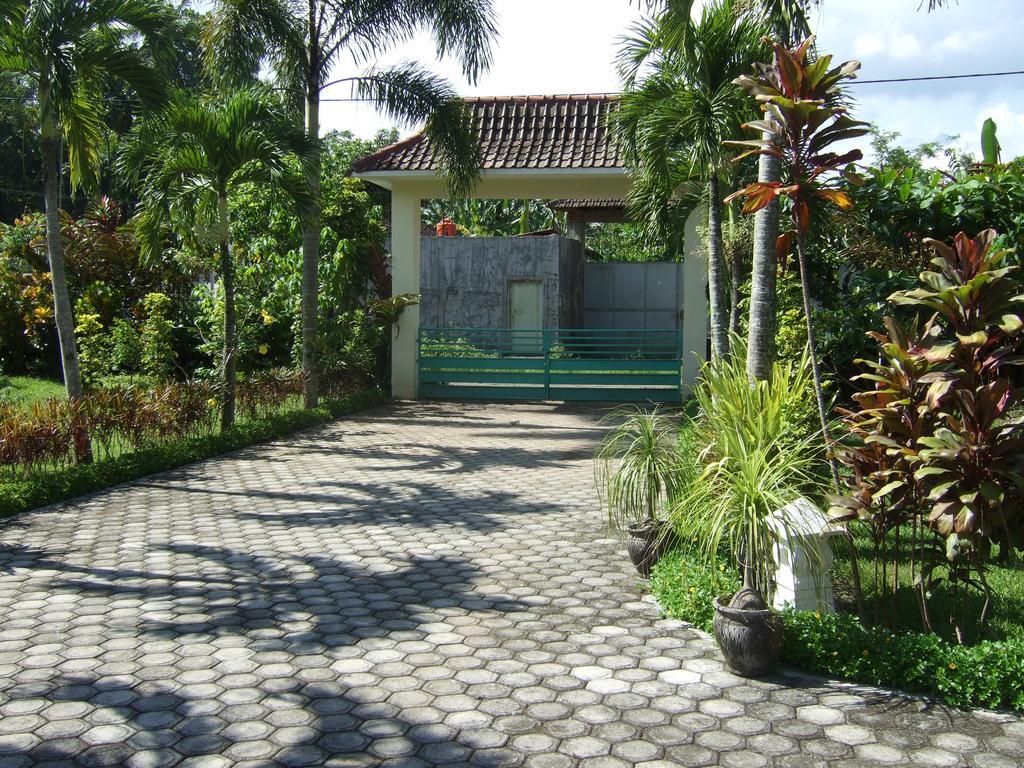 Guesthouse Rumah Senang Kalibaru Exterior photo