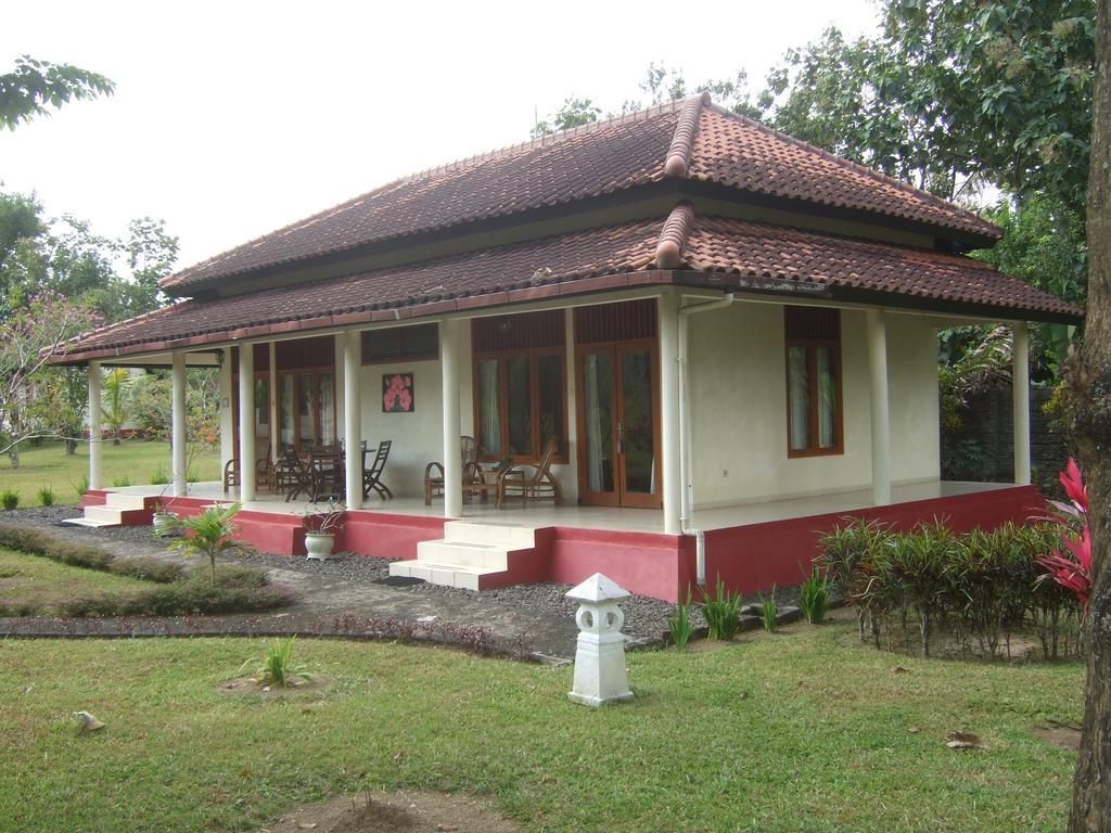 Guesthouse Rumah Senang Kalibaru Exterior photo